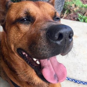 Meet your Posher, Nicoleta